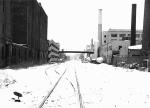 snowy tracks