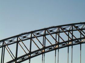 ../2000/03/24-AUS-sydney-sindey-harbor-bridge-hike.jpg
