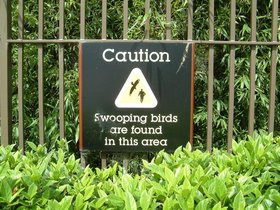 ../2002/10/07-sydney-AUS-sign-swooping.jpg
