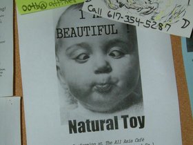 ../2003/02/21-cambridge-MA-poster-natural-toy.jpg