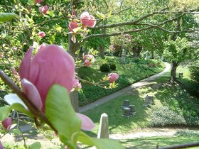 ../2003/05/18-mt_auburn-MA-flower-cemetery.jpg