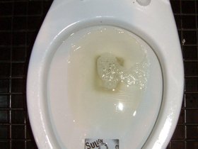 ../2004/02/14-brooklyn-NY-cat-power-toilet.jpg