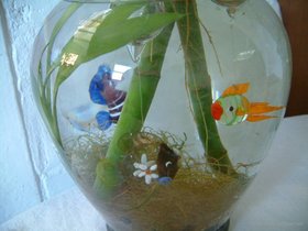 ../2007/03/11-brooklyn-NY-bamboo-fishies.jpg