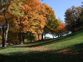 ../2007/10/21-1259-montreal-CAN-mount_royal.jpg