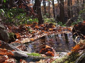 24-0935-harriman_park-NY-st-park-pool-moss.jpg
