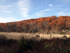 24-1004-harriman_park-NY-st-park.jpg