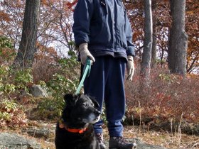 24-1107-harriman_park-NY-st-park-dennis-lucy.jpg