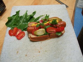 12-1113-beautiful-veggie-dog.jpg