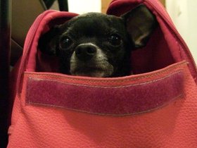 05-1946-tina-carry-bag.jpg
