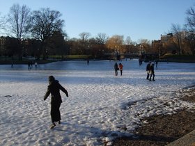 ../2009/02/14-1530-boston-MA-garden-lake-ice-nora.jpg