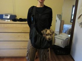 ../2011/09/07-1302-casper-nora-dog-sling.jpg