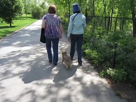 18-2007-fresh_pond-casper-good-walk.mp4