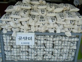 29-1121-KOR-by_nora.jpg