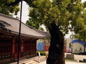 29-1143-KOR-by_nora.jpg