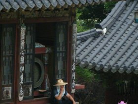 06-1453-KOR-by_nora.jpg