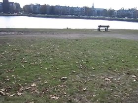 20-casper-running-terriers-charles.mp4