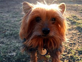 06-1541-lady_bug.jpg