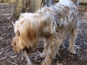 03-1010-casper-stick.mp4