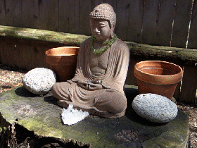 16-1340-dapple-buddha-cinemagraph.gif