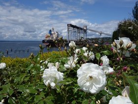 ../2014/05/27-1622-edwards_park-seattle-WA-park.jpg