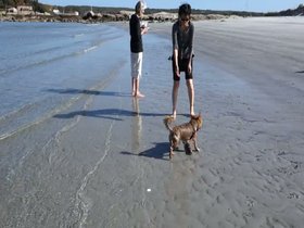 15-1550-beach-casper-wingaersheek.mp4
