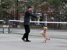 ../2014/11/27-1310-casper-action-dog-nora-trick.jpg