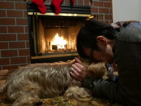 ../2014/12/24-1607-baltimore-MD-casper-nora-dog.jpg