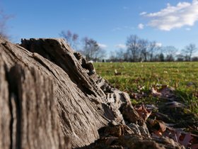 ../2014/12/25-1539-baltimore-MD.jpg