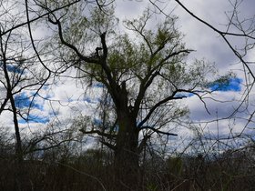 ../2015/04/25-1548-fresh_pond-MA.jpg