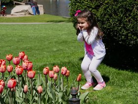 ../2015/05/02-1405-flower-kid.jpg