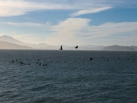 ../2015/06/19-1926-san_francisco-CA.jpg