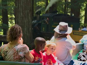 ../2015/06/25-1302-train-santa_cruz-CA-redwood.jpg
