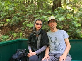 ../2015/06/25-1315-santa_cruz-CA-redwood.jpg