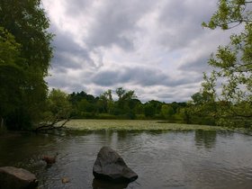 ../2015/07/25-1611-dog-fresh_pond-MA-casper_1.jpg