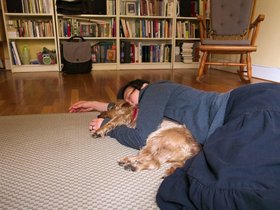 ../2015/10/25-1457-casper-sleeping-nora-dog.jpg