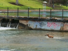 ../2016/03/11-1359-barton_springs-TX-austin.jpg