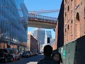 brooklyn (447)