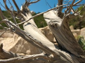 16-1223-beach-stiniva-vis-HRV-island.jpg