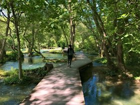 ../2016/05/18-1531-skradin_krka-waterfall-HRV.jpg