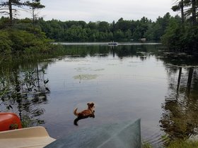 ../2017/07/28-1717-mount_william_pond-NH.jpg