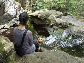../2017/07/29-1235-pulpit_rock-nora-park-NH.jpg