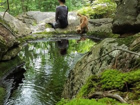../2017/07/29-1237-pulpit_rock-nora-park-NH.jpg