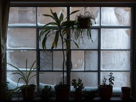../2018/01/05-1402-winter-ice-window.jpg