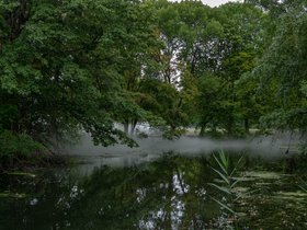 ../2018/09/08-1632-art-fog.jpg