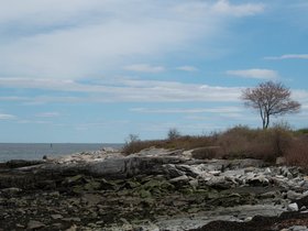 ../2019/05/11-1207-portland_ME-ME-peaks_island.jpg