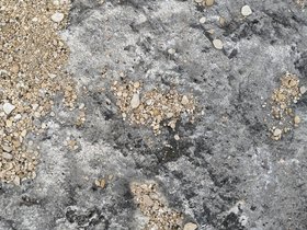 ../2020/03/03-1352-texture-austin-TX-mckinney_falls.jpg