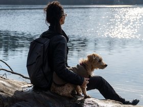 ../2020/12/13-1223-breakheart_reservation-MA-dog-casper-nora.jpg