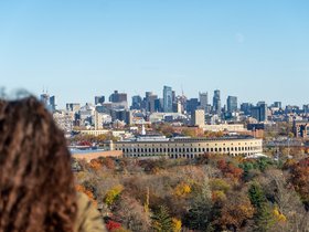 ../2021/11/13-1515-boston-MA-cemetery-mt_auburn-autumn-skyline.jpg