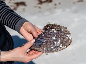 14-1104-clearwater-FL.jpg