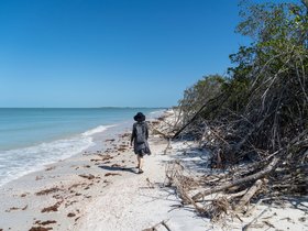 14-1110-park-caladesi-FL-clearwater.jpg